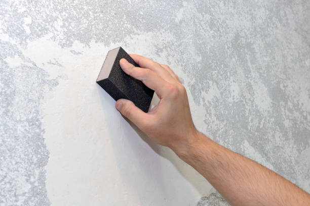 Professional Mold Removal in Germantown, IL