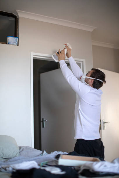 Best Emergency Mold Remediation  in Germantown, IL