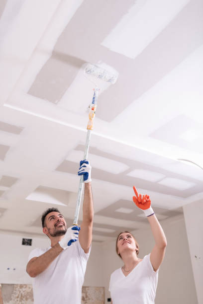 Best Dehumidification Services  in Germantown, IL