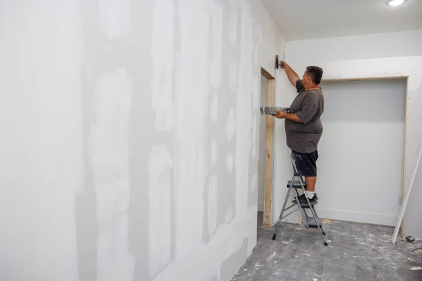Best Mold Documentation for Insurance Claims  in Germantown, IL