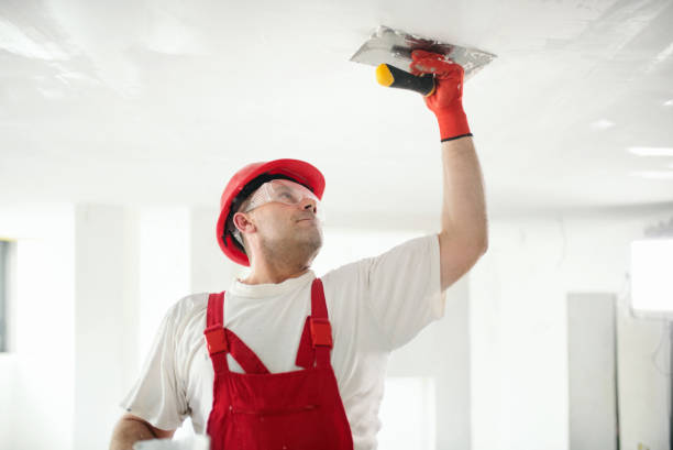 Best Forensic Mold Investigation  in Germantown, IL