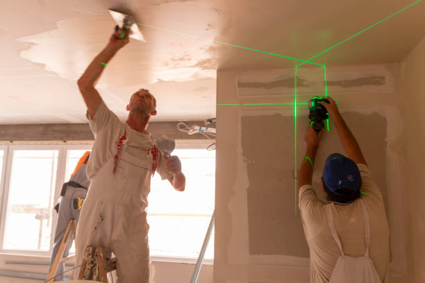 Best Asbestos and Lead Testing During Mold Inspection  in Germantown, IL