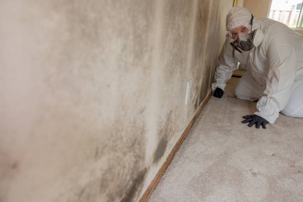 Best Airborne Mold Testing  in Germantown, IL