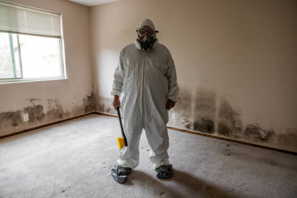 Best Real Estate Mold Inspection  in Germantown, IL