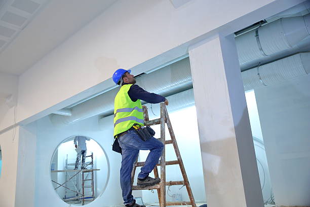Best Commercial Mold Inspection  in Germantown, IL