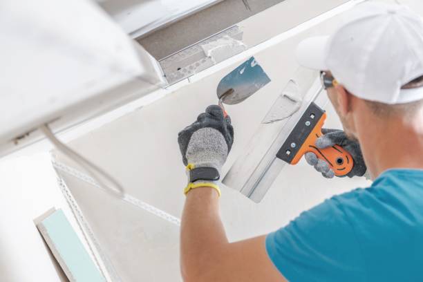 Best Mold Prevention Services  in Germantown, IL